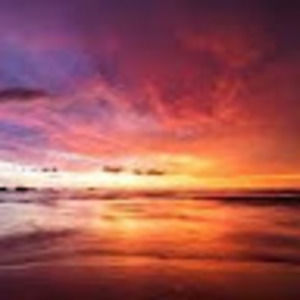 Meet your Posher, Shoshana